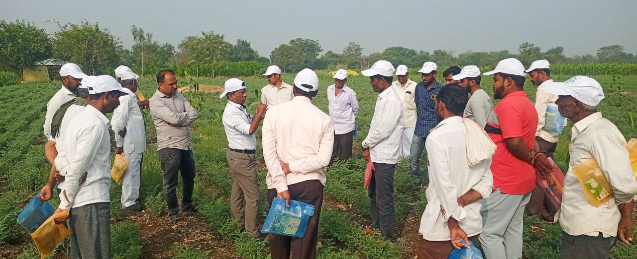 सटवाईवाडी येथे हरभरा शेतीशाळा संपन्न