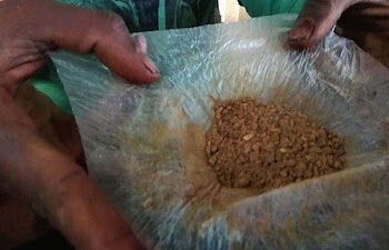 सुगंधित तंबाखूविरुद्ध अन्न औषध प्रशासनाची मोठी कारवाई