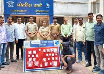 घरफोड्या करणाऱ्या सराईत चोरट्याला केले जेरबंद