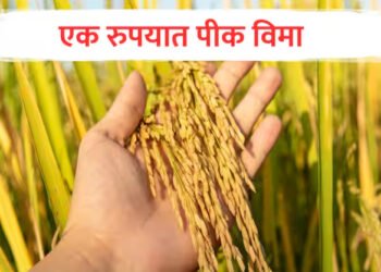 शेतकऱ्यांनी घ्यावा एक रुपयात पीक विमा योजनेचा लाभ