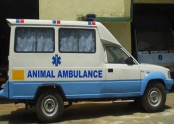 अँनिमल अँब्युलन्स पादचाऱ्याला उडवले 7 अँनिमल अँब्युलन्स पादचाऱ्याला उडवले