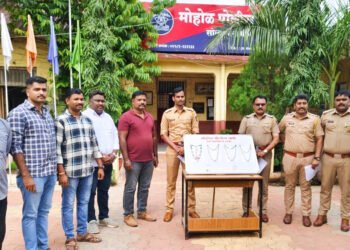 मोहोळ पोलिसांनी चोरीच्या पाच गुन्ह्याची केली उकल