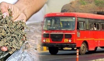 खडकीचे पोलिसच शिरजोर, एसटी बसमधून येणारा गांजा पकडला