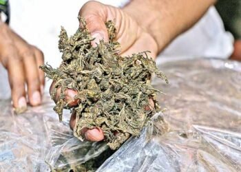 खडकीत रिक्षातून जाणारा पाच किलो गांजा जप्त 4 खडकीत रिक्षातून जाणारा पाच किलो गांजा जप्त