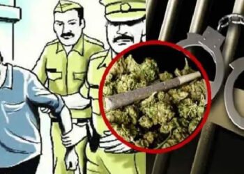 गांजा विक्री करणार्‍या तरुणाला अटक