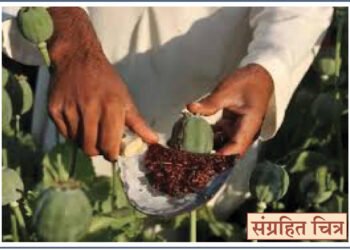 ८३ हजारांचा मुद्देमाल जप्त, एक जण अटकेत