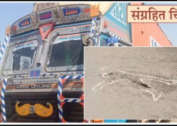 चापट मारल्याच्या रागातून कंटेनर अंगावर घालून हत्या