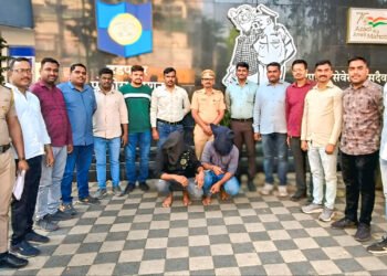 मॅफेनटरमाइन सल्फेट (टर्मिन) इंजेक्शनची बेकादेशीर विक्री