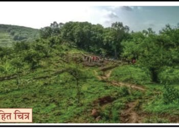 पुण्यातील ‘बीडीपी’ आरक्षणासाठी अभ्यास गट 3 पुण्यातील ‘बीडीपी’ आरक्षणासाठी अभ्यास गट