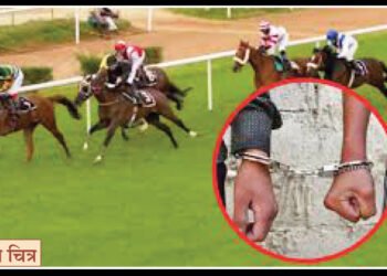 घोड्यांच्या शर्यतीवर ऑनलाईन सट्टेबाजी 7 घोड्यांच्या शर्यतीवर ऑनलाईन सट्टेबाजी