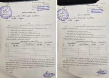 आकाश चिन्ह व परवाना विभागात सावळा गोंधळ