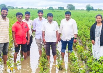 तेरखेडा मंडळात अतिवृष्टीमुळे पंचनामे सुरू