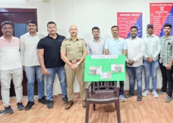 रेकॉर्डवरील गुन्हेगाराकडून २ गावठी पिस्तुले, २ जिवंत काडतुसे जप्त