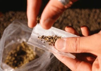 सराईत गुन्हेगाराकडून सव्वातीन लाखांचे अफिम जप्त