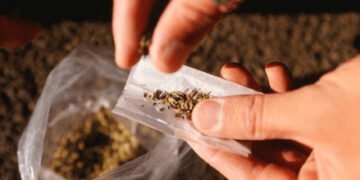 सराईत गुन्हेगाराकडून सव्वातीन लाखांचे अफिम जप्त