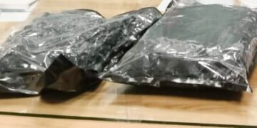 बँकॉकवरून आलेला २ कोटी २९ लाखांचा हायड्रोपोनिक गांजा जप्त