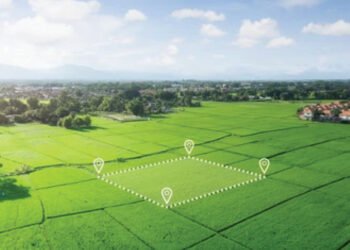 जमीन में लाभदायक निवेश के लिए भविष्य की दृष्टि और धैर्य अनिवार्य