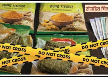 हळदीच्या पाकिटात लपवून करत होते गांजा विक्री