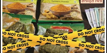 हळदीच्या पाकिटात लपवून करत होते गांजा विक्री