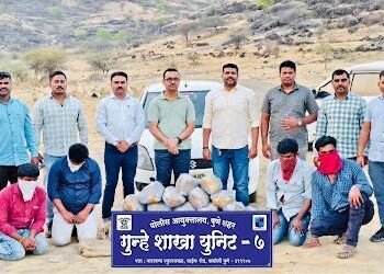 टुरिस्ट टॅक्सीचा वापर करून गांजाची तस्करी