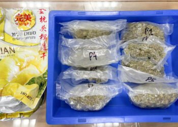 विमानाच्या बाथरूममधून ७५ लाखांचा हायड्रोपोनिक गांजा जप्त