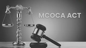 ९ सायबर गुन्हेगारांवर प्रथमच मोक्का कारवाई